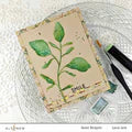 Altenew Craft Your Life Project Kit: Botanical Line Art