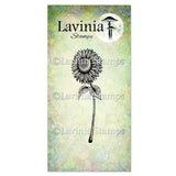Lavinia - Bundle *NEW* collections LAV981 to LAV997 10% off