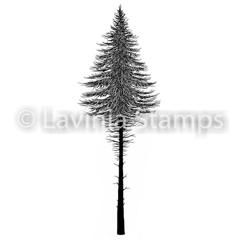 Lavinia - Fairy Fir Tree 2