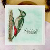 HUNKYDORY CRAFTS For The Love Of Stamps - Layering Woodpecker