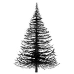 Lavinia - Fir Tree