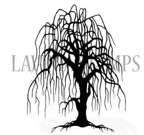 Lavinia - Weeping Willow Tree