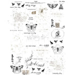 49 And Market Essential Rub-Ons 6"X8" 2/Sheets Butterflies 01