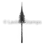 Lavinia - Fairy Fir Tree (Small)