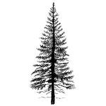 Lavinia - Fir Tree 1