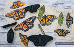 ArtFoamies Emmie Roelofse | Monarch Butterfly | Foam Stamps - Set of 4